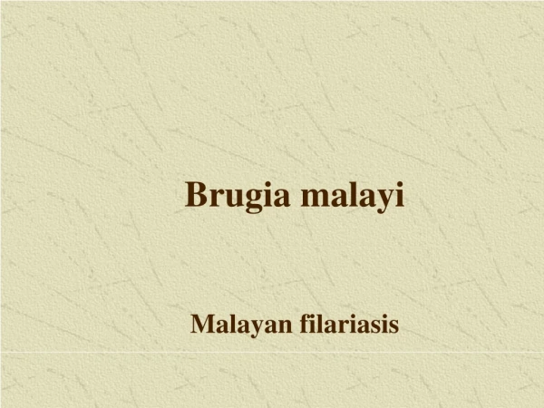 Brugia malayi