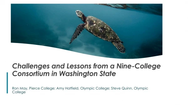 Challenges and Lessons from a Nine-College Consortium in Washington State