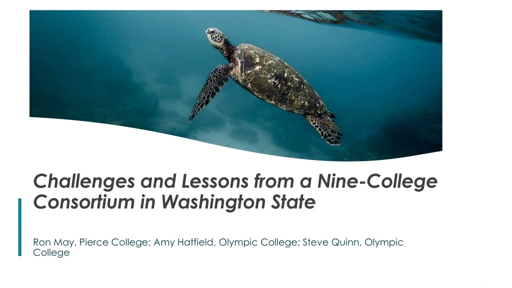 challenges and lessons from a nine college consortium in washington state