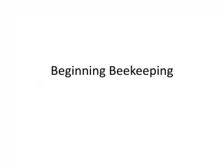 Beginners' Guide to Beekeeping: Honey Bee Basics - slide 1
