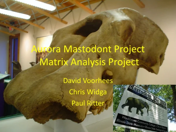 Aurora Mastodont Project Matrix Analysis Project