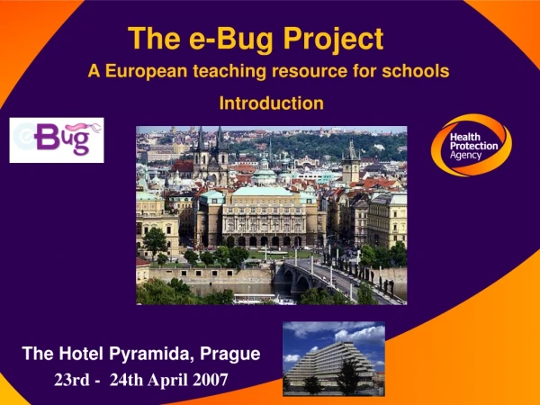 The e-Bug Project