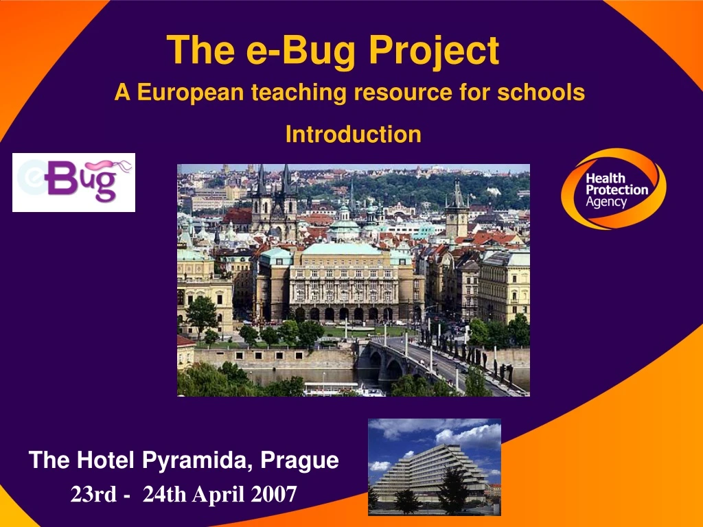 the e bug project