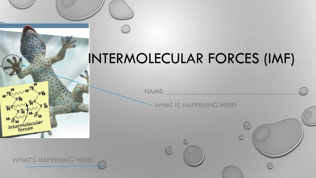 intermolecular forces imf