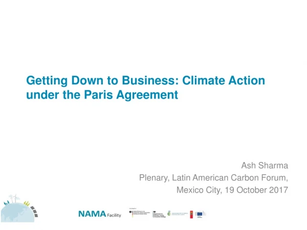 Getting Down to Business : Climate Action under the Paris Agreement