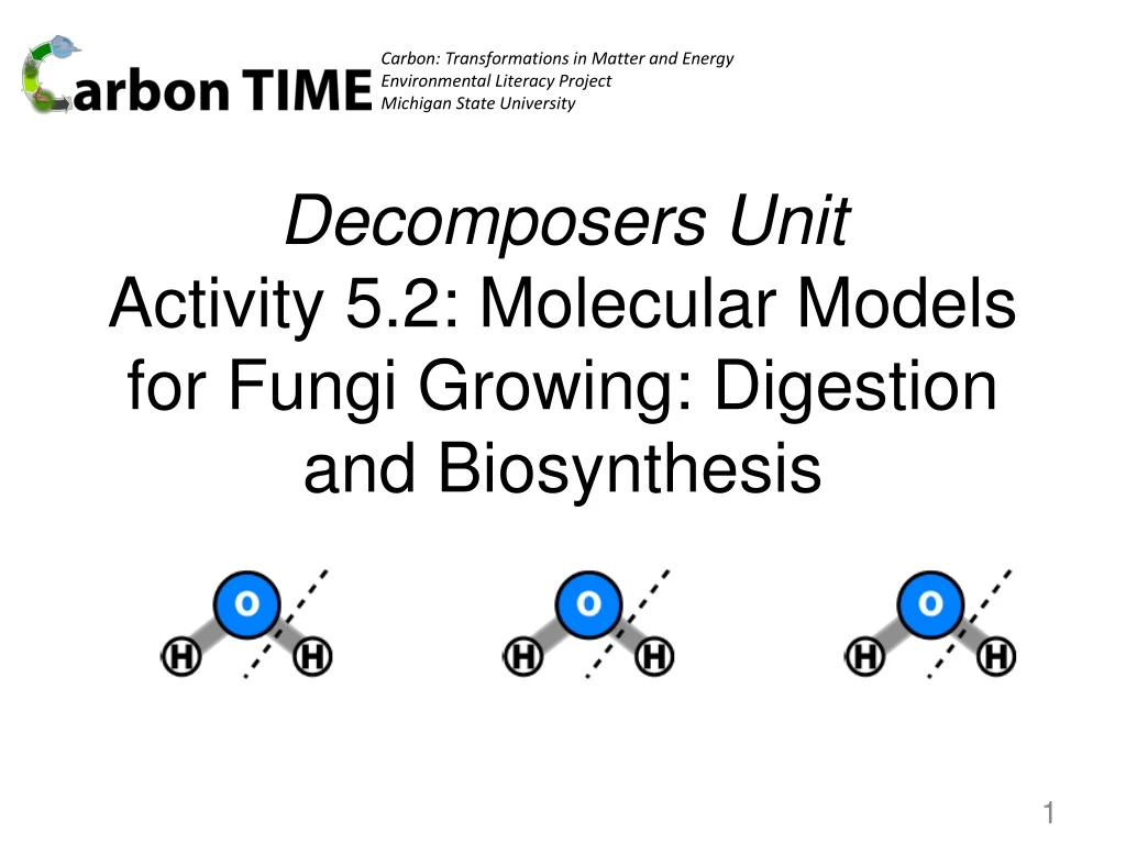 decomposers unit activity 5 2 molecular models for fungi growing digestion and biosynthesis