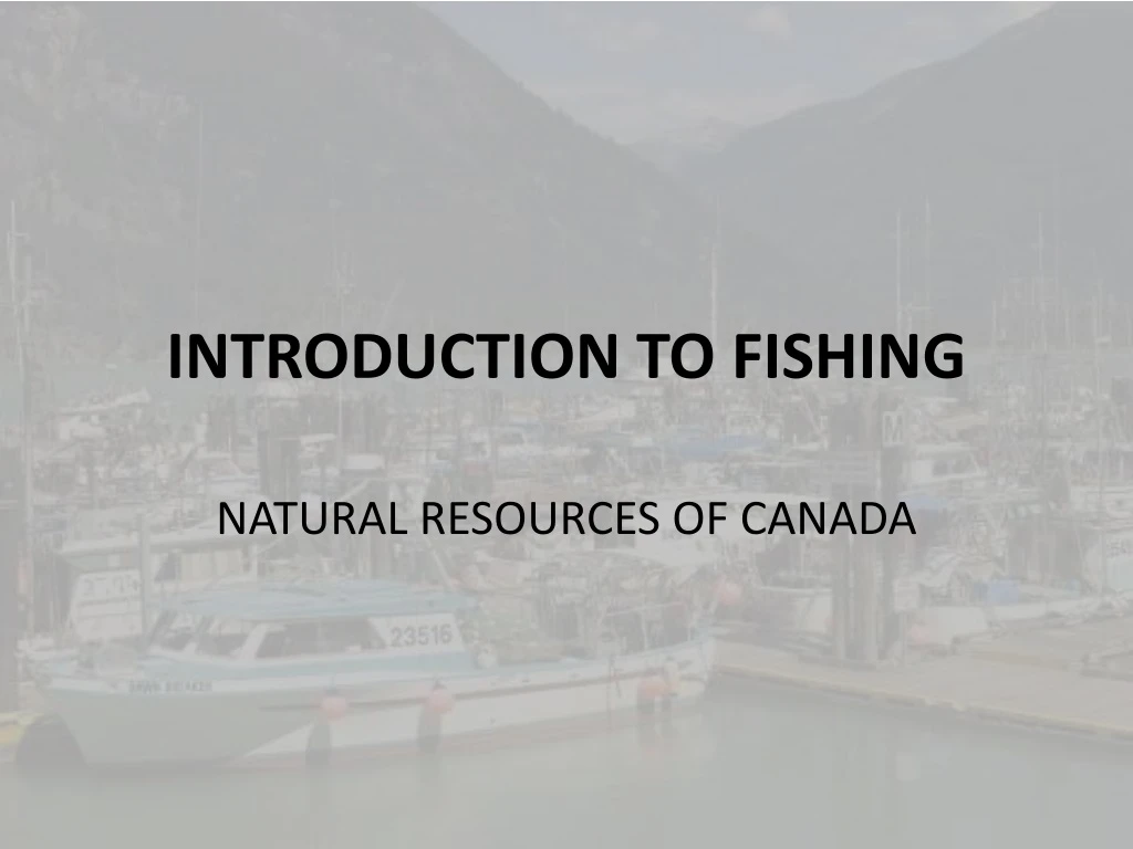 introduction to fishing