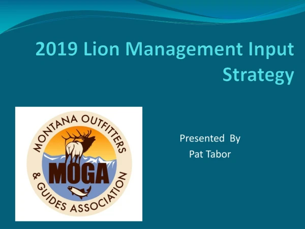 2019 Lion Management Input Strategy