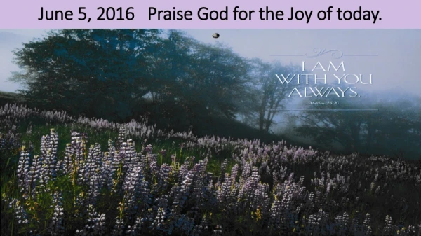 June 5, 2016 Praise God for the Joy of today.
