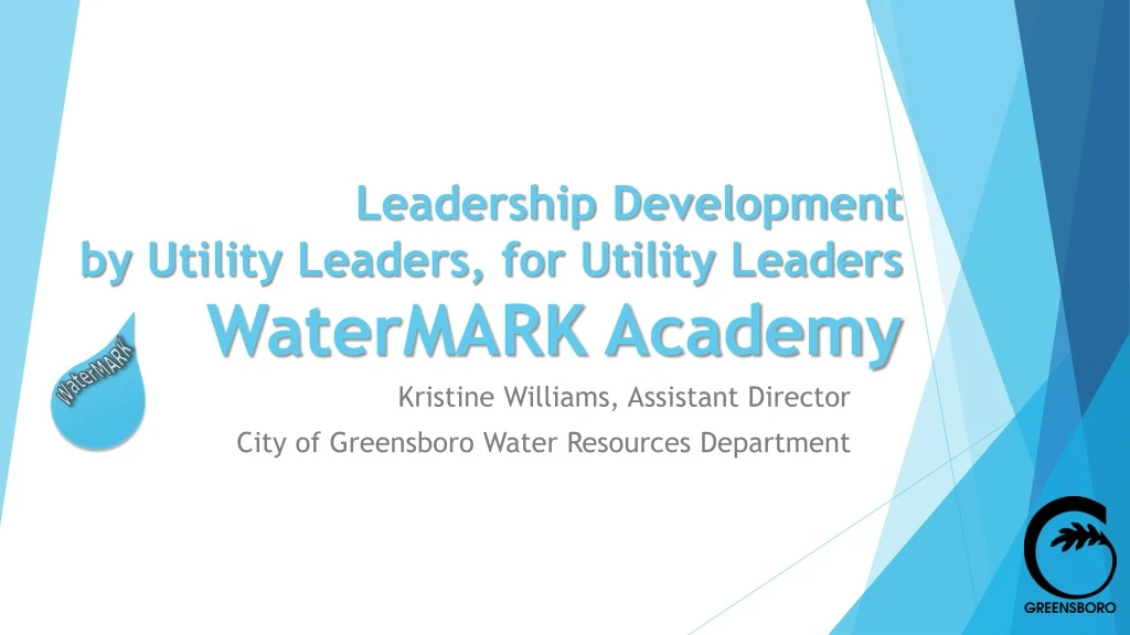 leadership development by utility leaders for utility leaders watermark academy