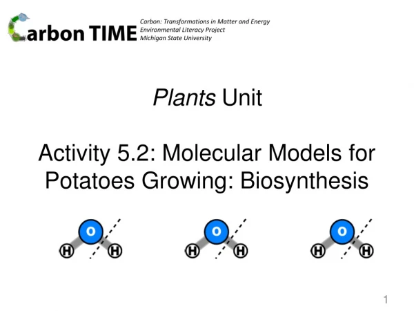 Plants Unit Activity 5.2: Molecular Models for Potatoes Growing: Biosynthesis