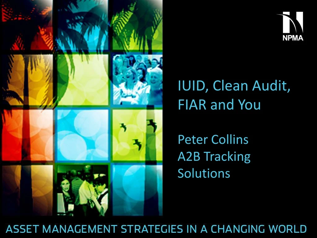 iuid clean audit fiar and you peter collins