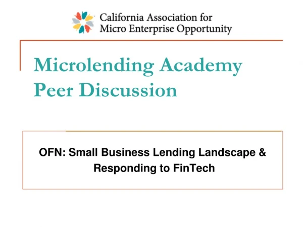 Microlending Academy Peer Discussion