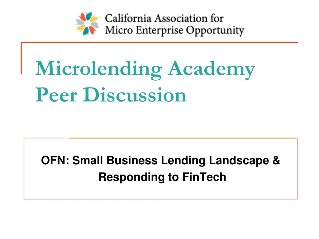 microlending academy peer discussion