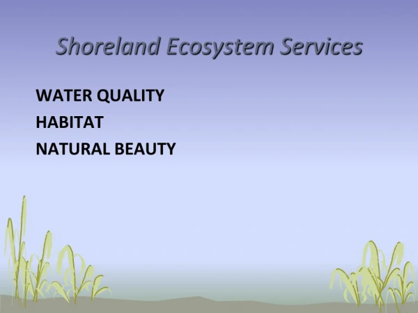 Shoreland Ecosystem Services