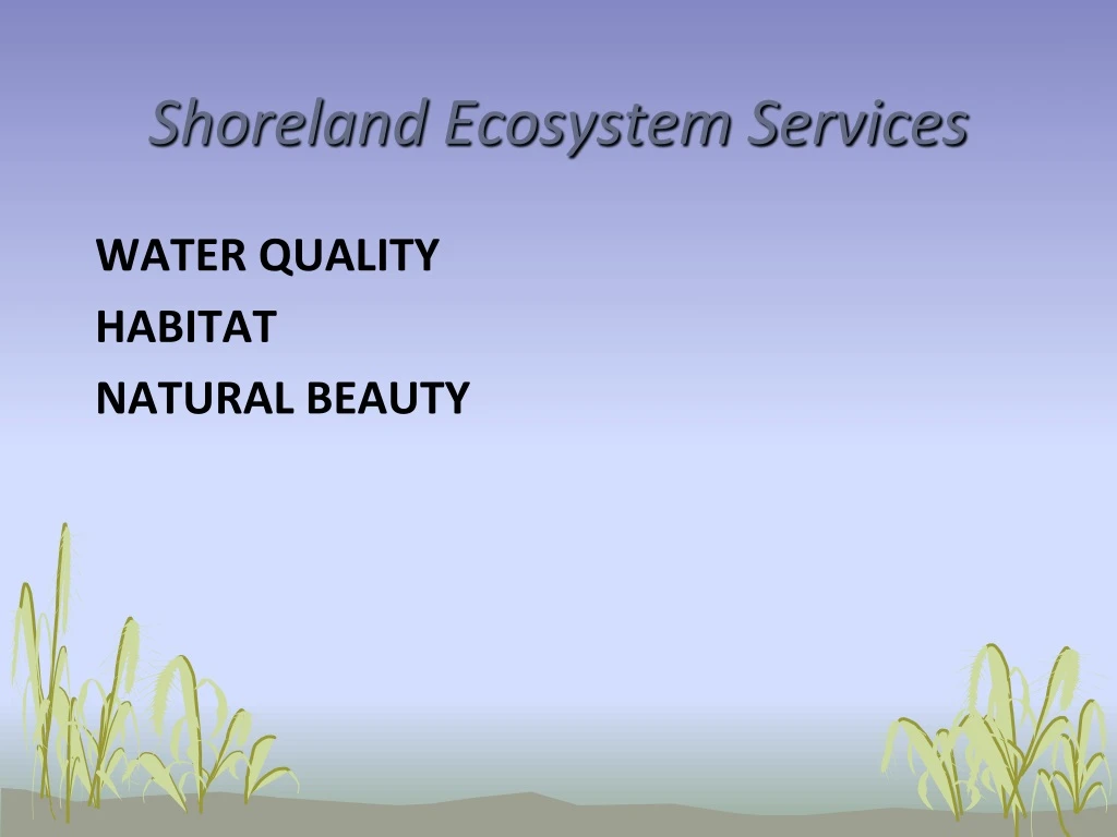shoreland ecosystem services