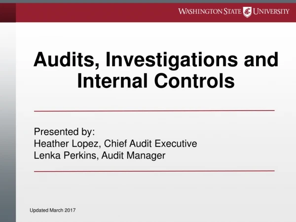 Audits, Investigations and Internal Controls