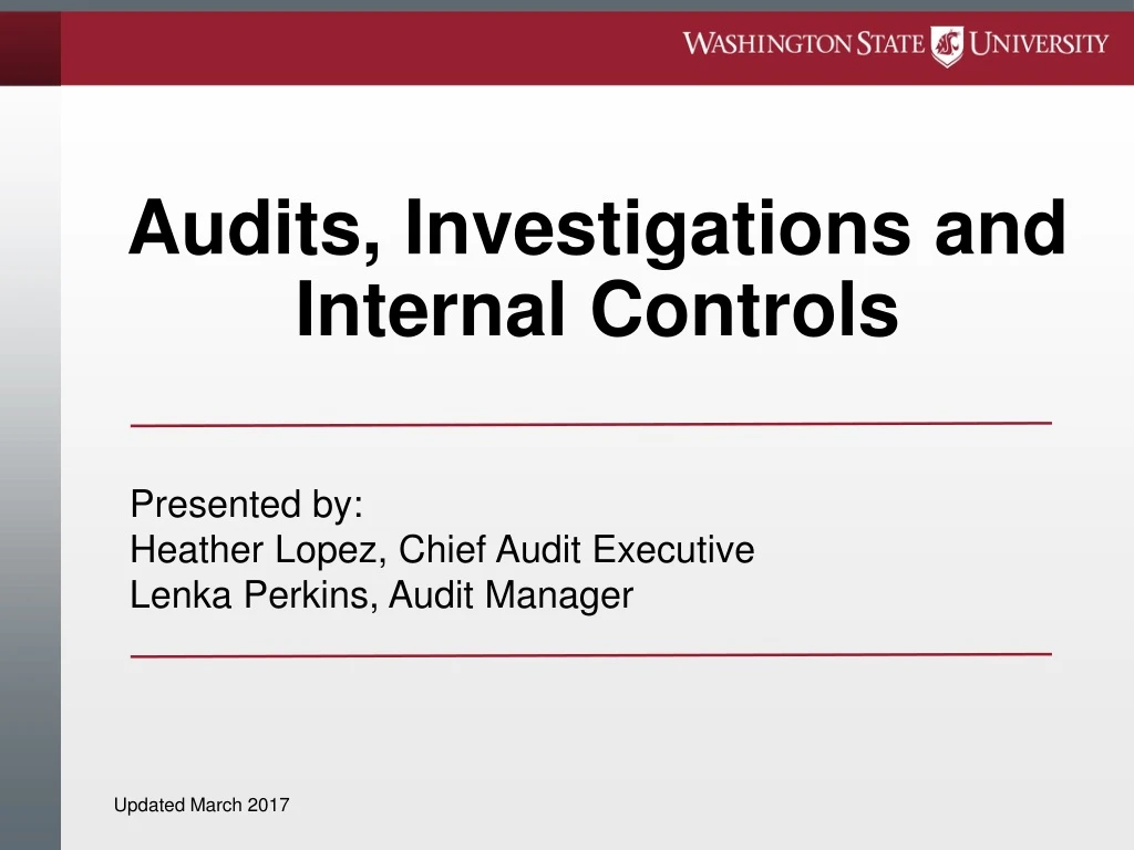 audits investigations and internal controls