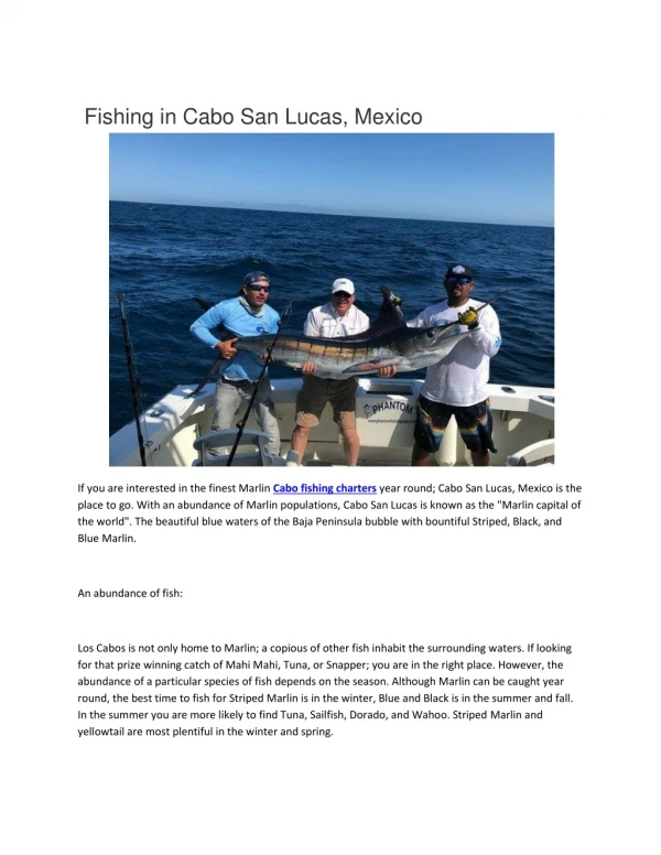 Cabo fishing charters