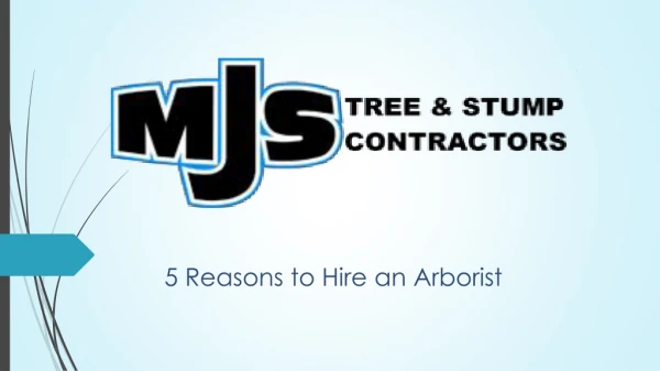 5 Reasons to Hire an Arborist