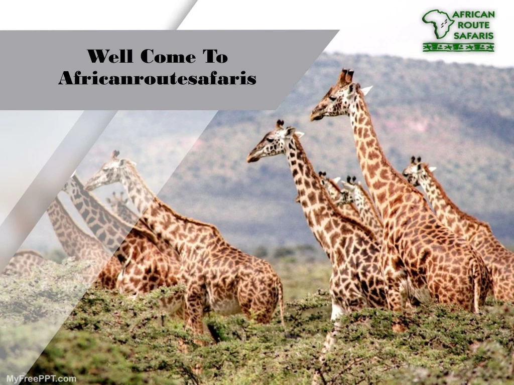 well come to africanroutesafaris