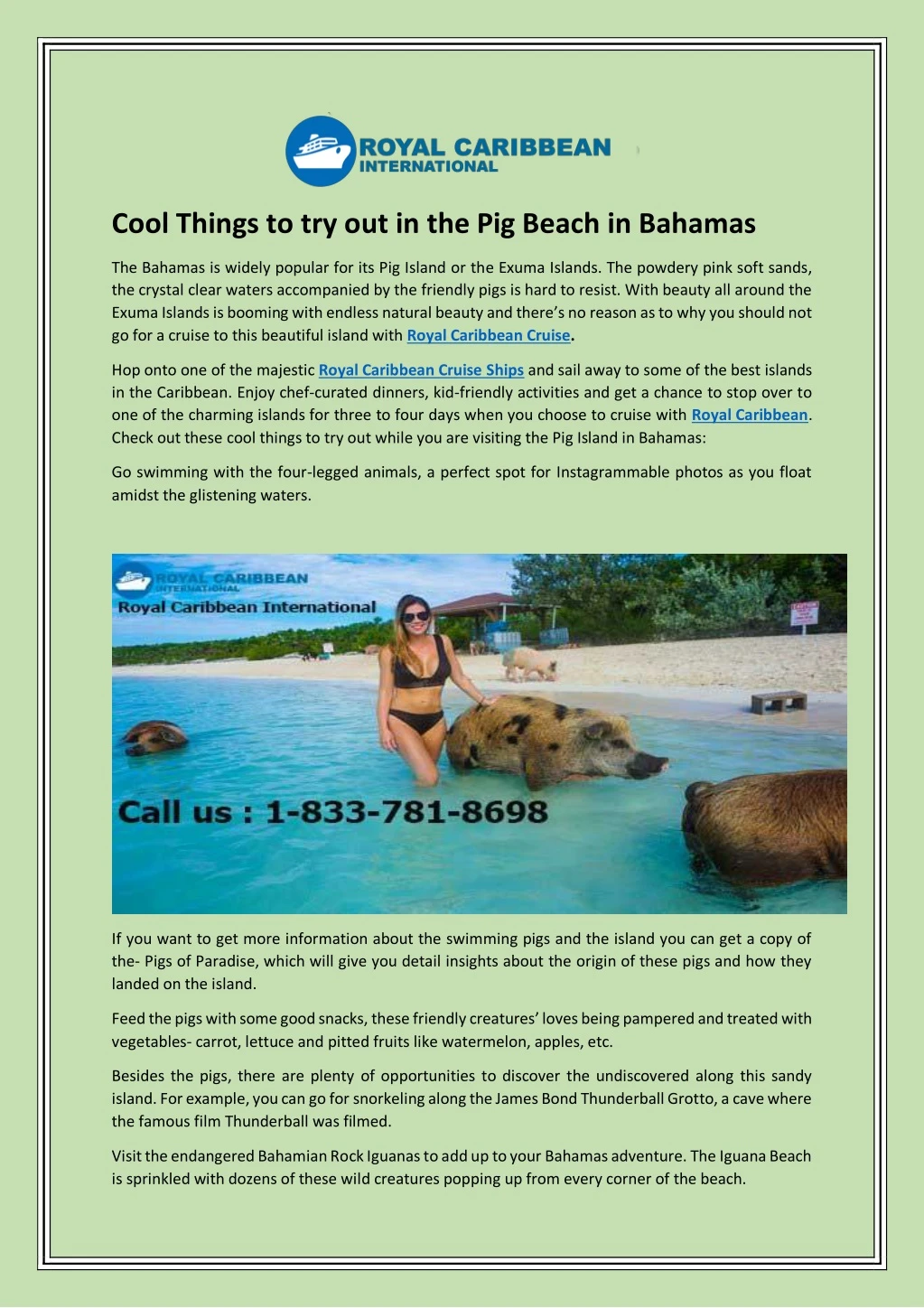 cool things to try out in the pig beach in bahamas