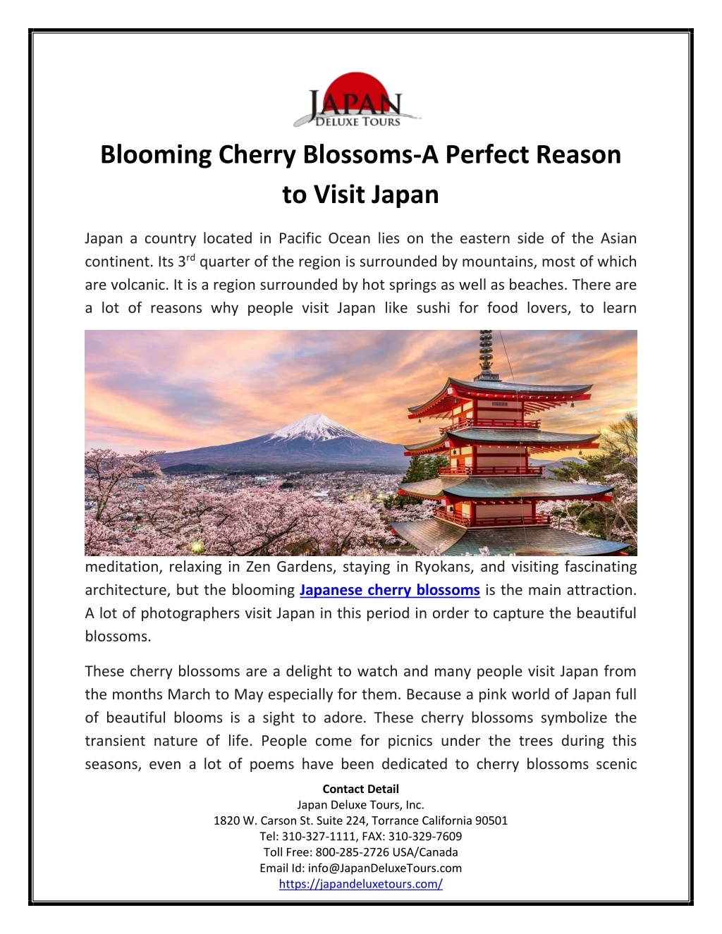 blooming cherry blossoms a perfect reason