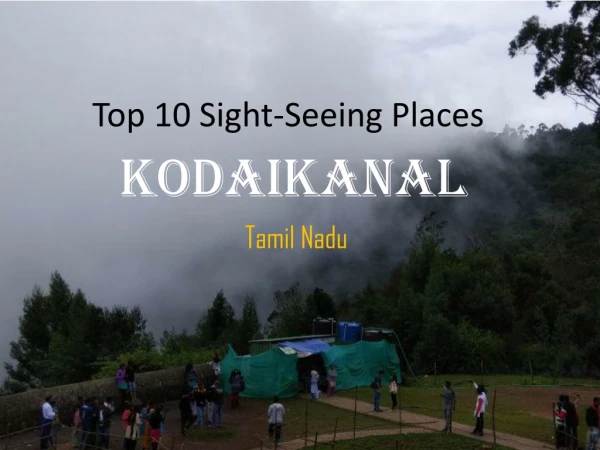 Travels in Kodaikanal
