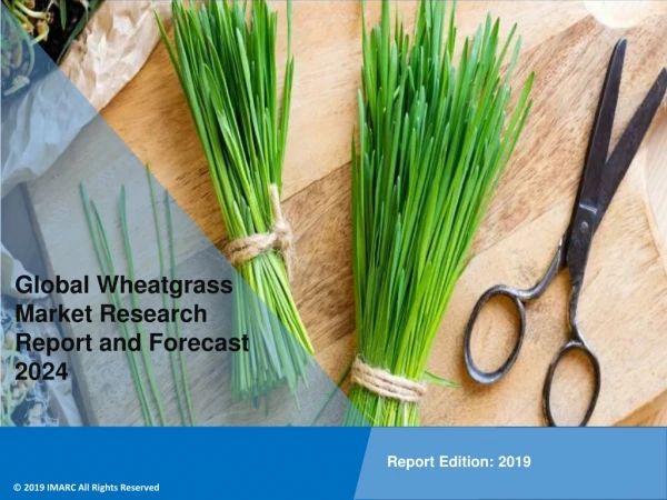 Wheatgrass Market 2019: Industry Trends, Share, Size, Demand and Future Scope by 2024