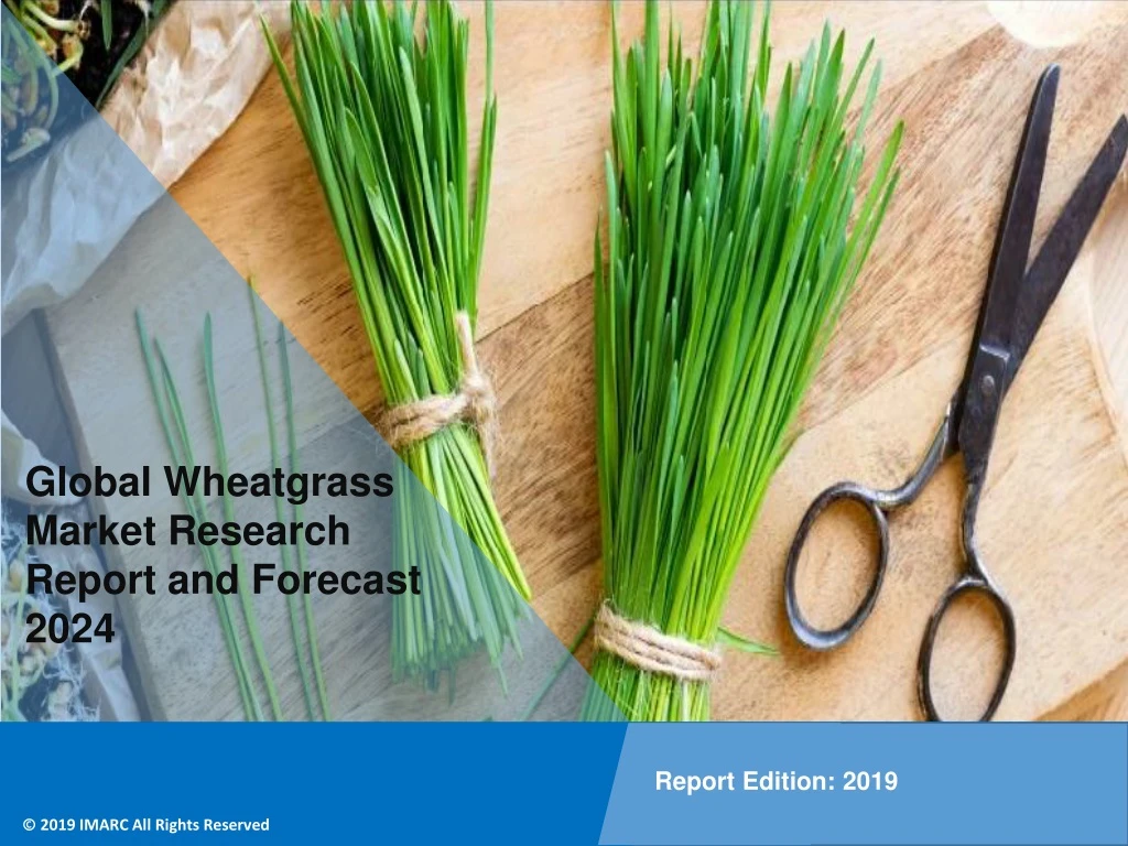 global wheatgrass market research report