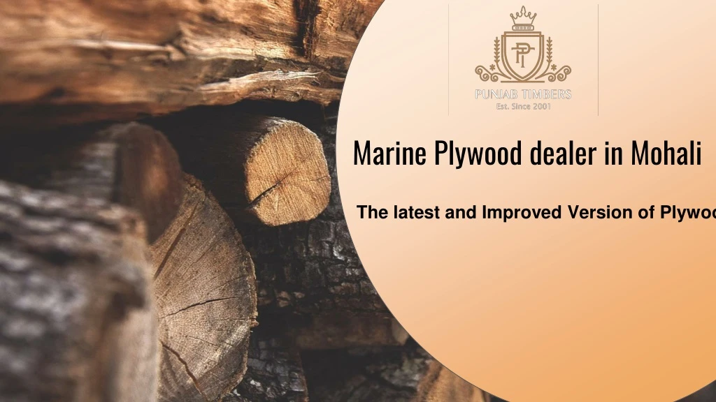 marine plywood dealer in mohali