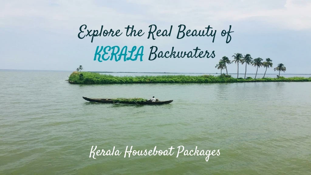 explore the real beauty of kerala backwaters