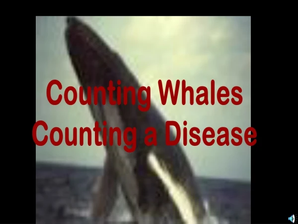 Counting Whales Counting a Disease