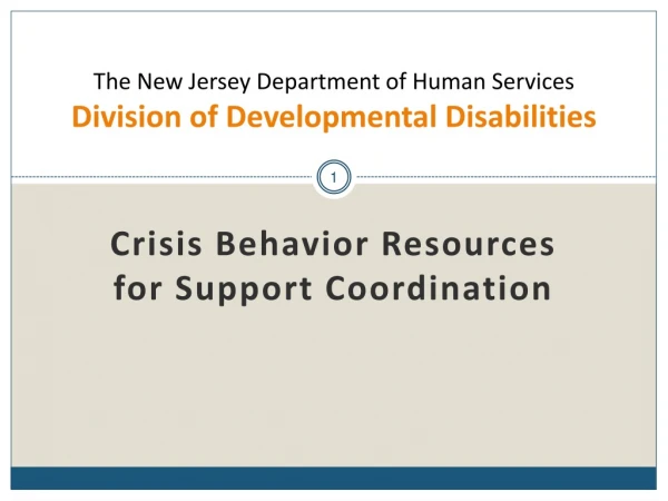 The New Jersey Department of Human Services Division of Developmental Disabilities