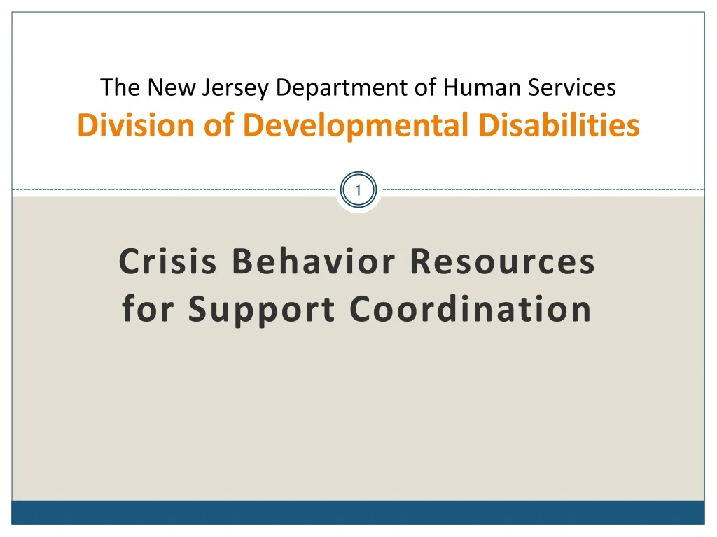 the new jersey department of human services division of developmental disabilities