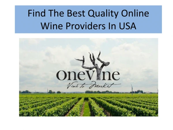 Find The Best Quality Online Wine Providers In USA