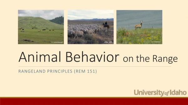 Animal Behavior on the Range