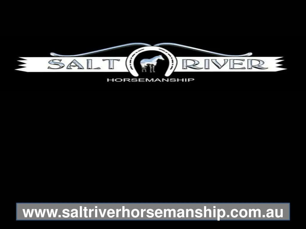 www saltriverhorsemanship com au