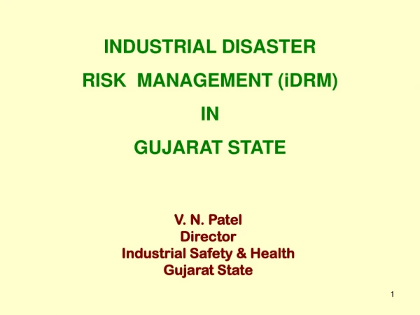 V. N. Patel Director Industrial Safety &amp; Health Gujarat State