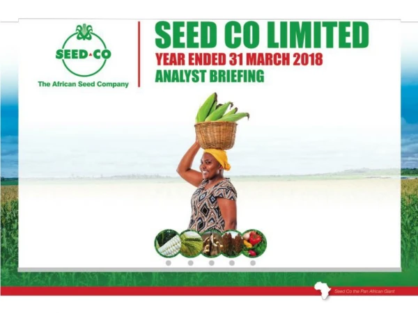 Seed Co Group Full Year Financial Review By Matorofa John- GFD