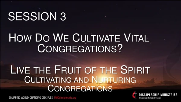 SESSION 3 How Do We Cultivate Vital Congregations ? Live the Fruit of the Spirit