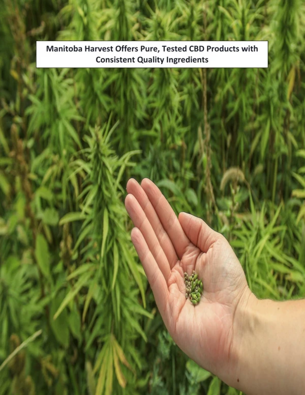 Manitoba Harvest Offers Pure, Tested CBD Products with Consistent Quality Ingredients