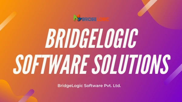 Custom ERP Software Development Solutions by BridgeLogic