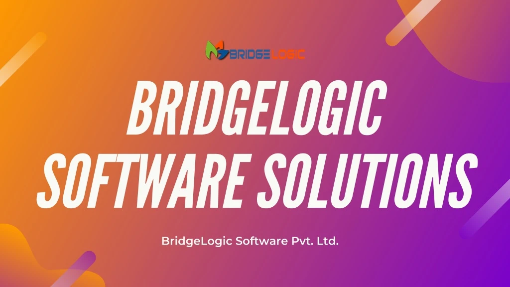 bridgelogic software solutions