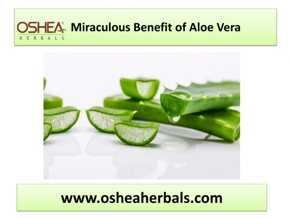 Osheaherbals Moisturizing Aloe Vera Face Wash
