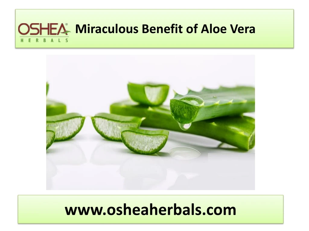 miraculous benefit of aloe vera