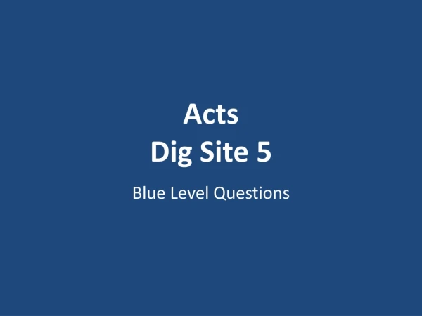 Acts Dig Site 5