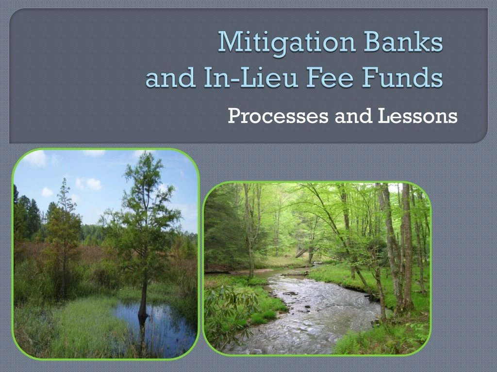 mitigation banks and in lieu fee funds
