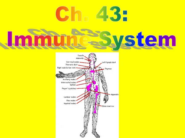 Ch . 43: Immune System