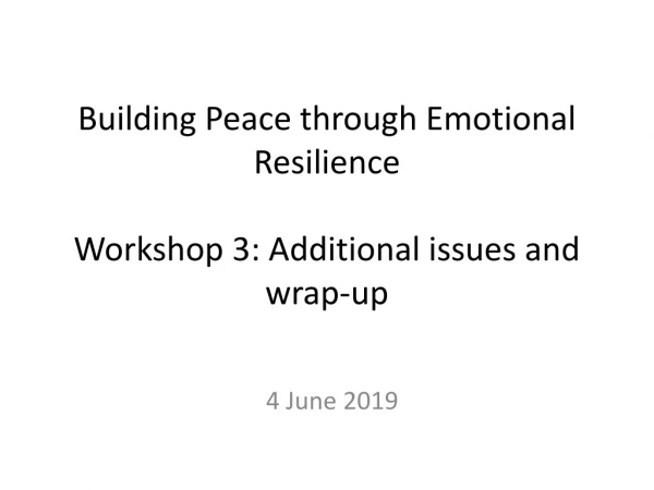 Building Peace through Emotional Resilience Workshop 3: Additional issues and wrap-up